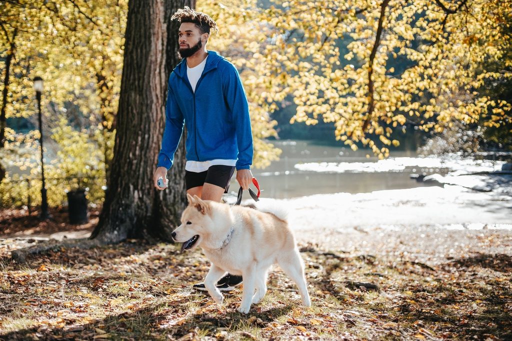 A man walking his dog in the woods