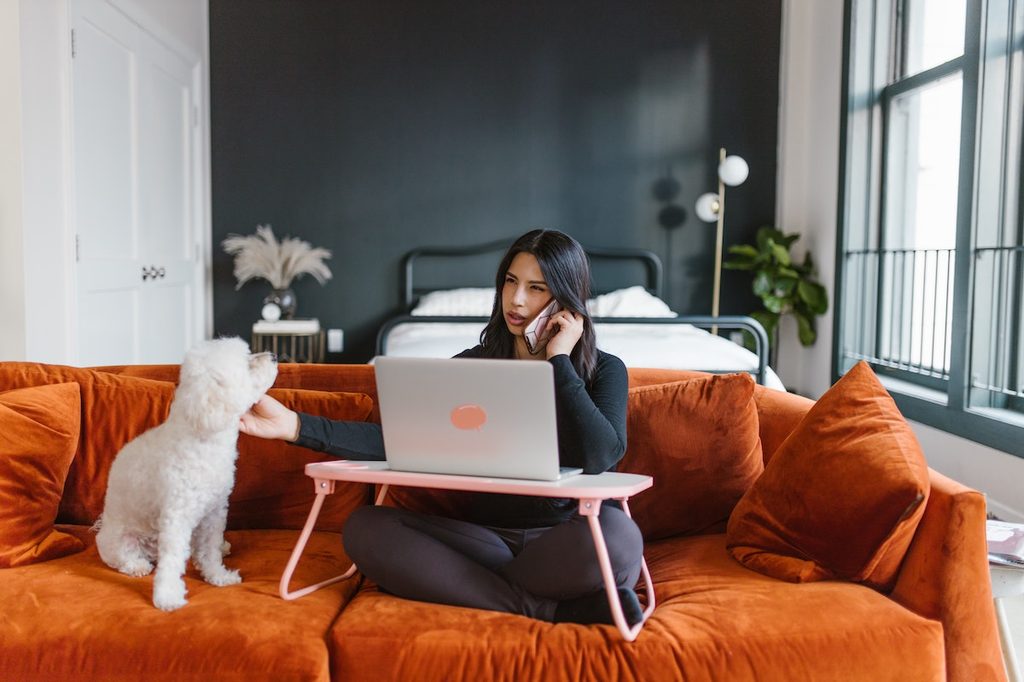 A woman sitting on the couch talking on phone, looking at a computer, petting a white dog