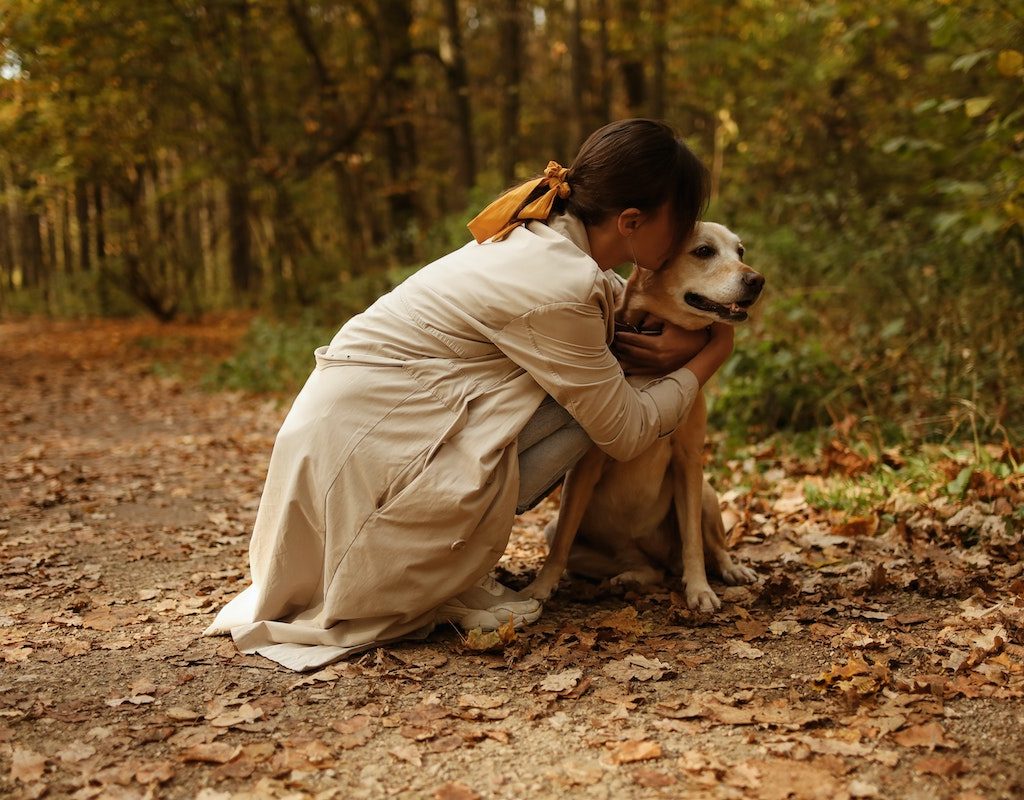 a dog and woman cuddling on fall woodland walk