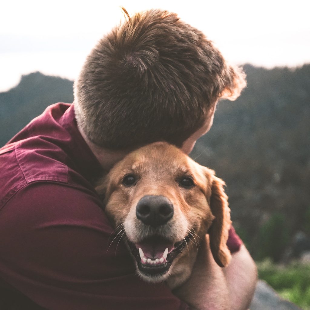 A man hugs a golden retriever, facing away from the camera