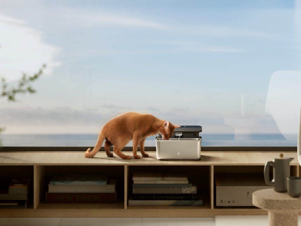 PETLIBRO Glacier on the shelf and nice backdrop.