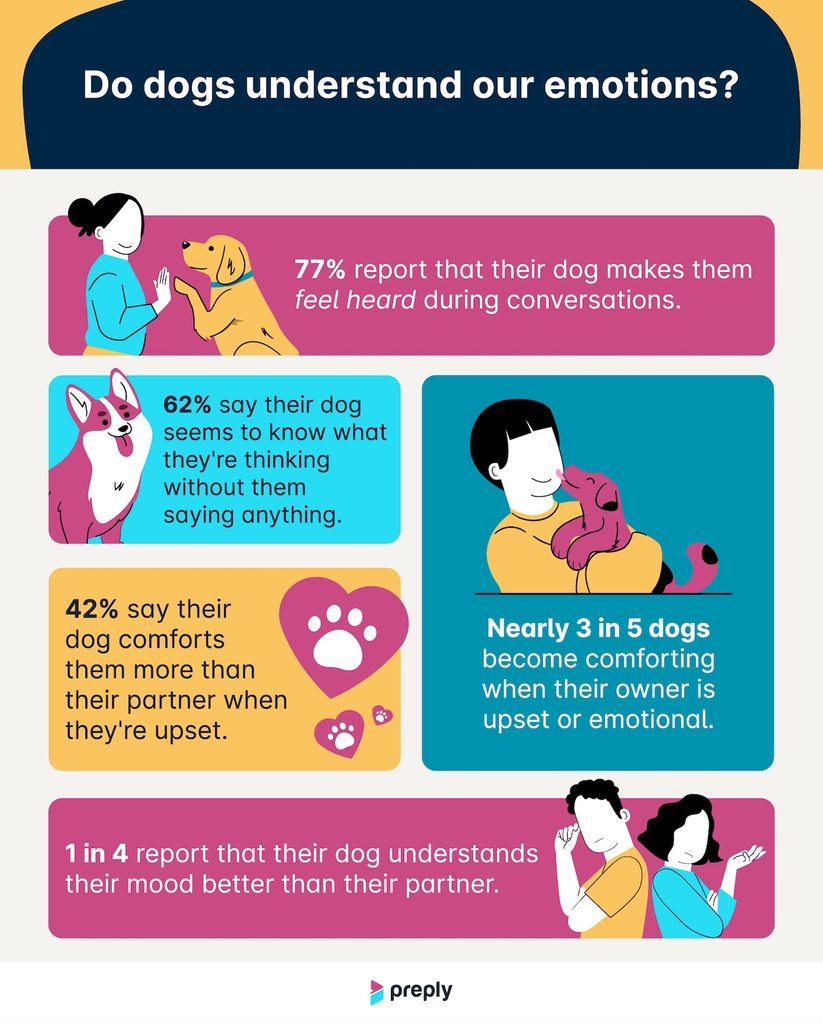 An infographic of survey results from Preply