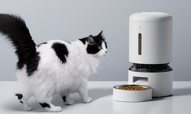 PETLIBRO Granary automatic cat feeder with cat nearby