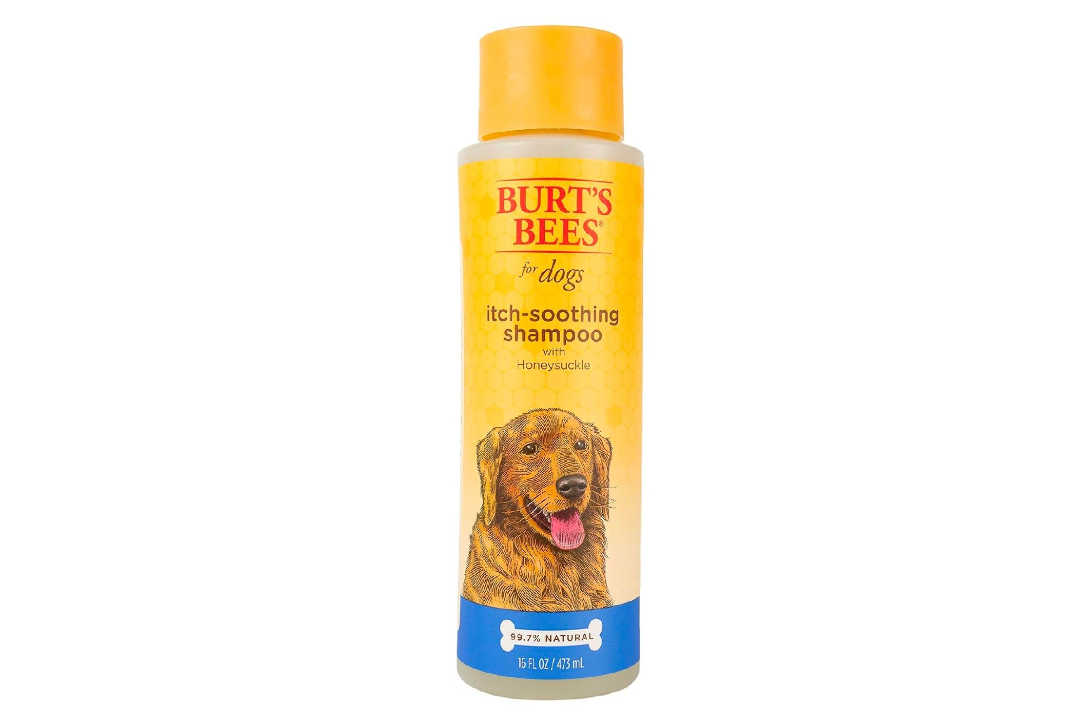 A bottle of dog shampoo for itchy skin