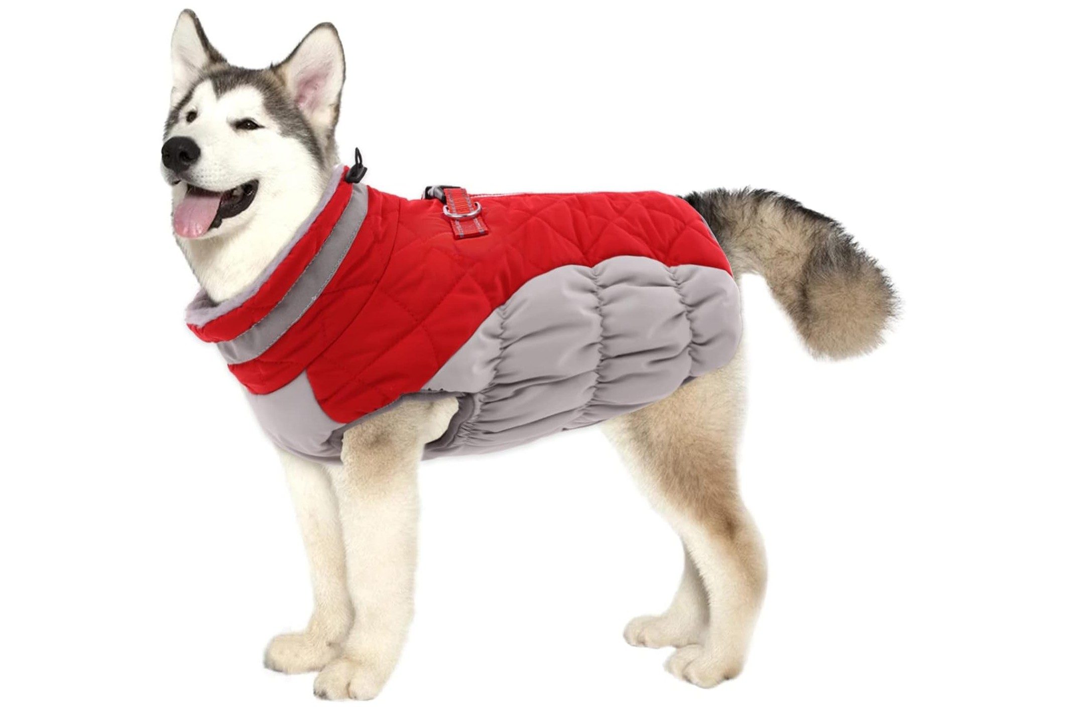 lelepet dog winter coat