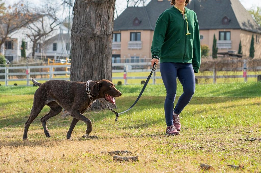 a woman walking a dog