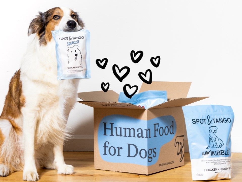 Dog holding Spot & Tango's Fresh food line