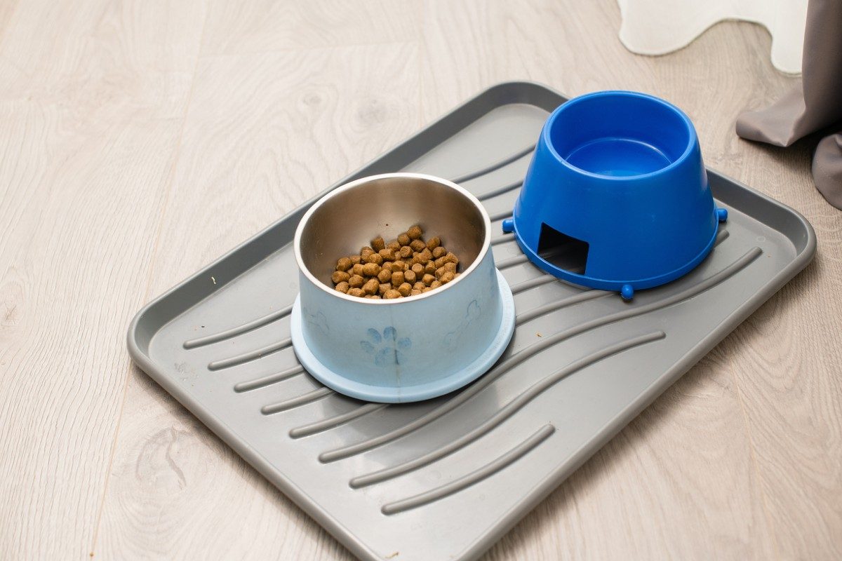 best water bowl mat