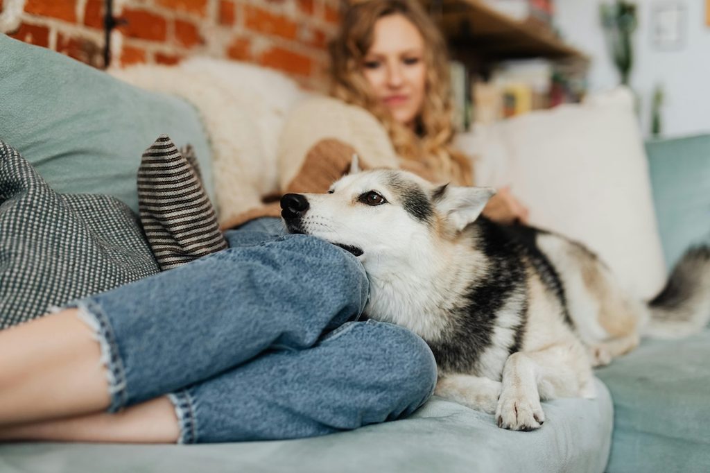 a dog lying on an adult woman