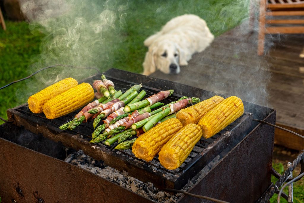 Lab lays near asparagus and corn on the grill