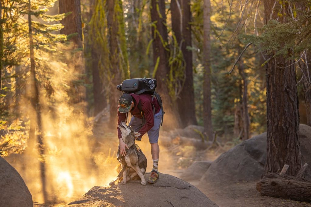 a man patting a dog's chest on a hike through the woods