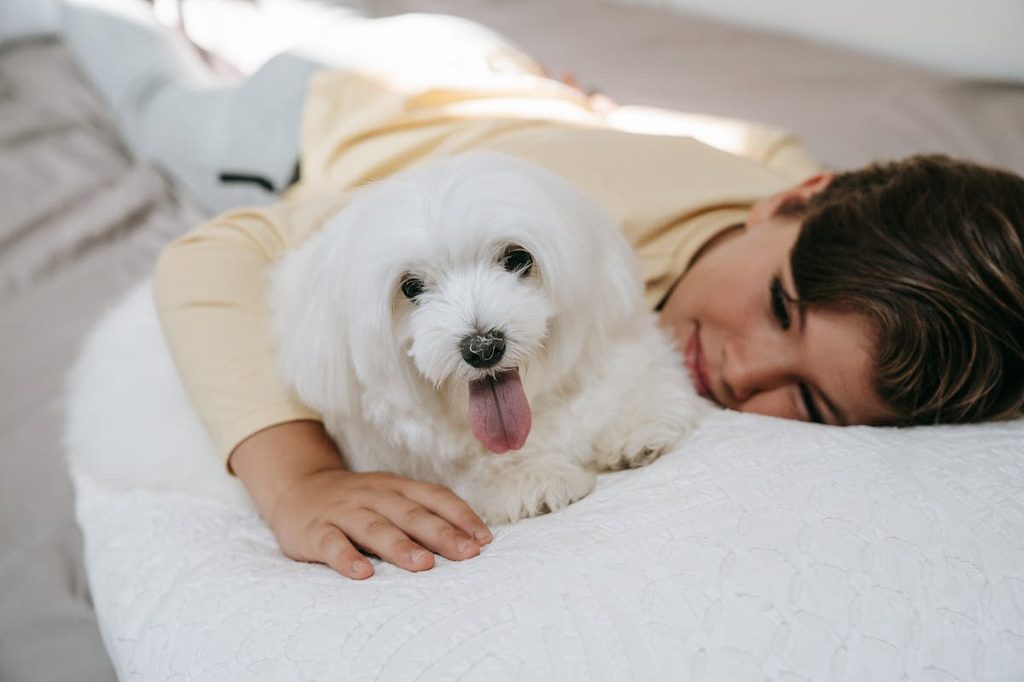 white dog and woman on bed with white sheets
