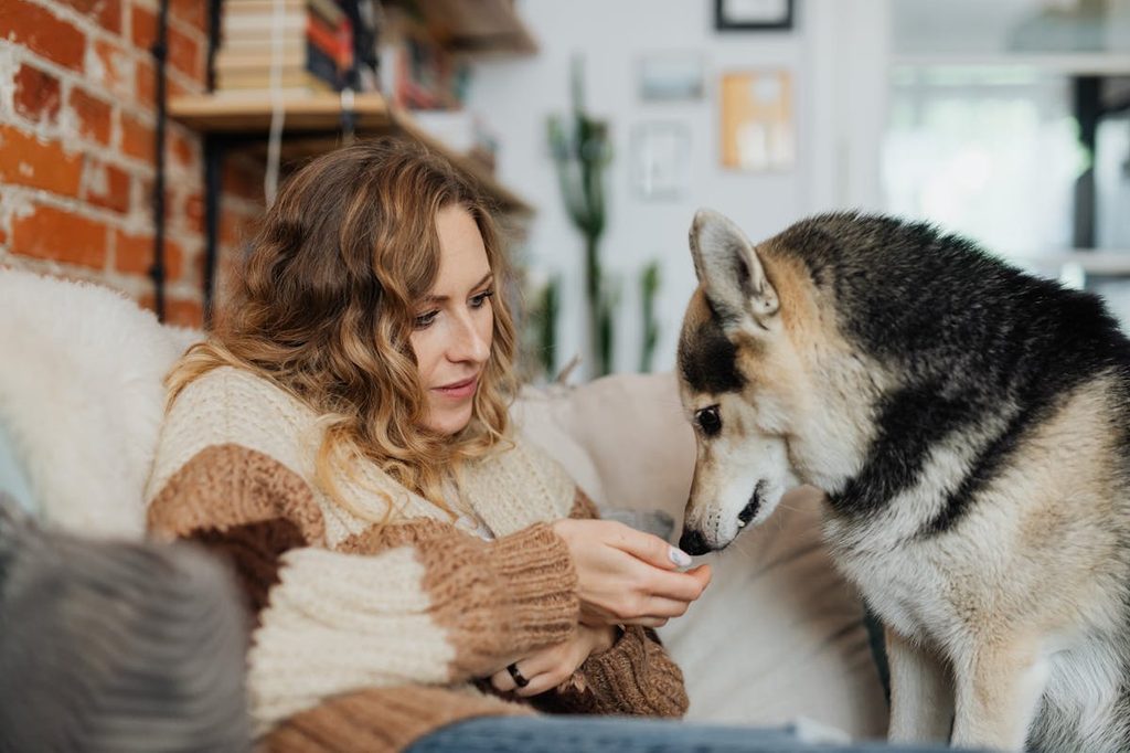 female giving large dog a treat