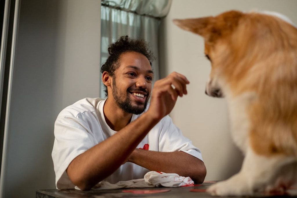 a man giving a dog sitting on a table a treat