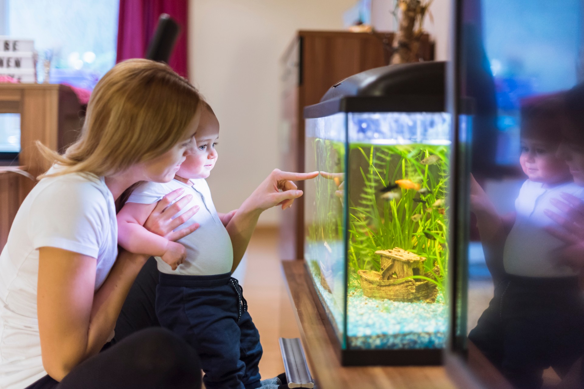Mother and son looking at aquarium