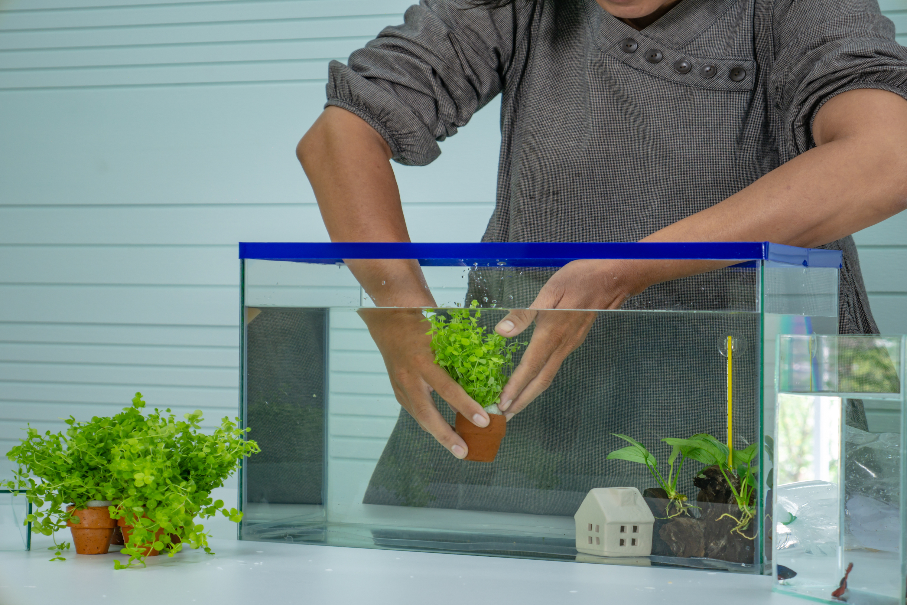 Woman places decorations into a fish tank