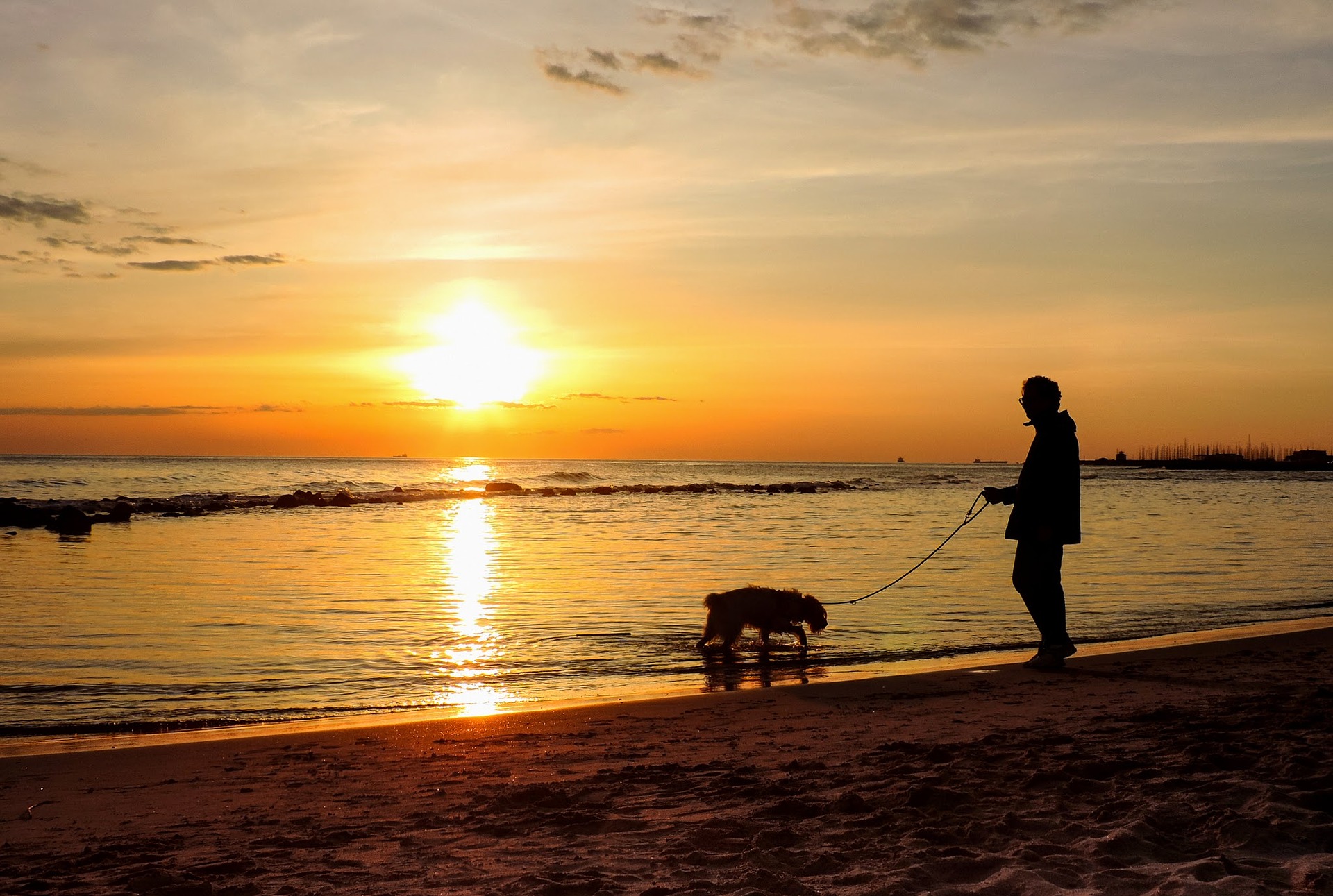 Adult walking a dog on a beach at sunset
