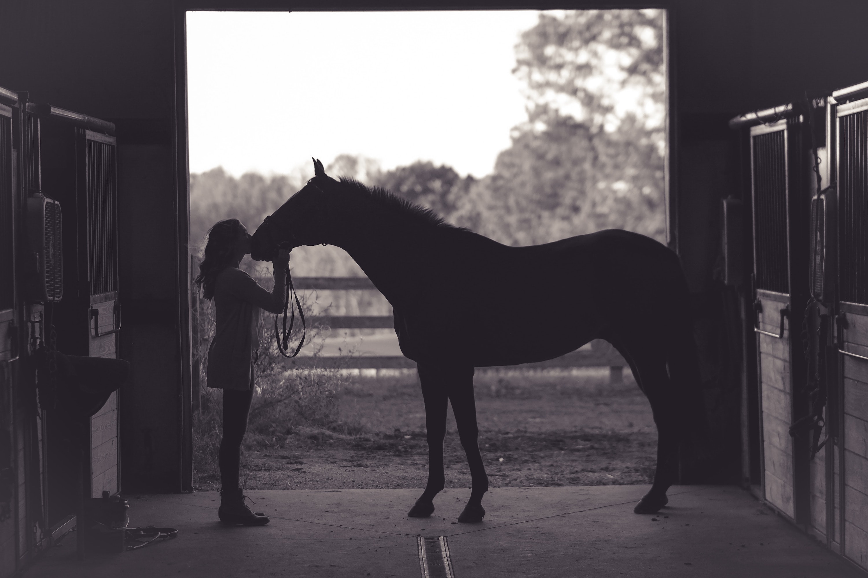 Woman stands silhouetted with her horse in stables