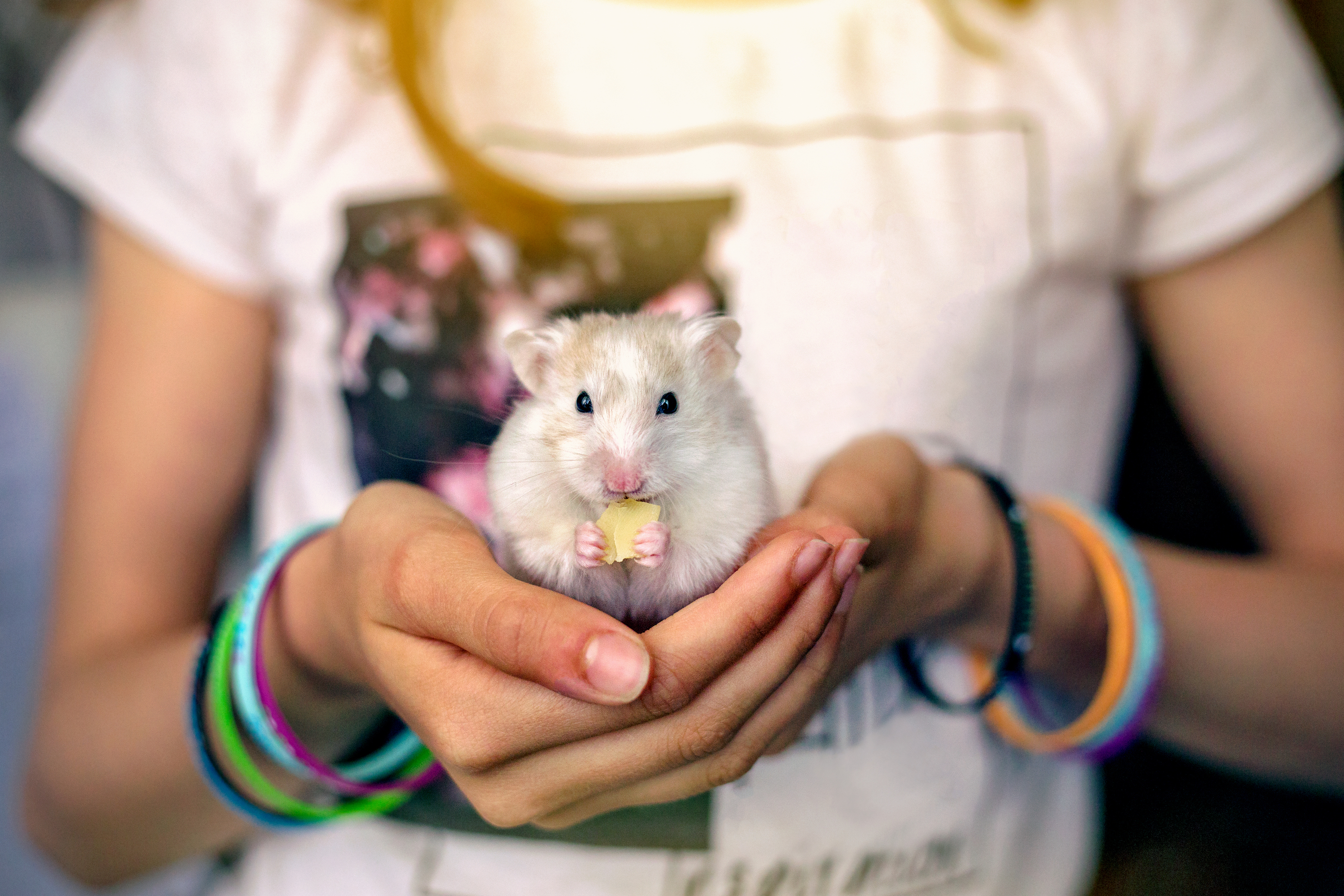 Woman holding a hamster eating a treat