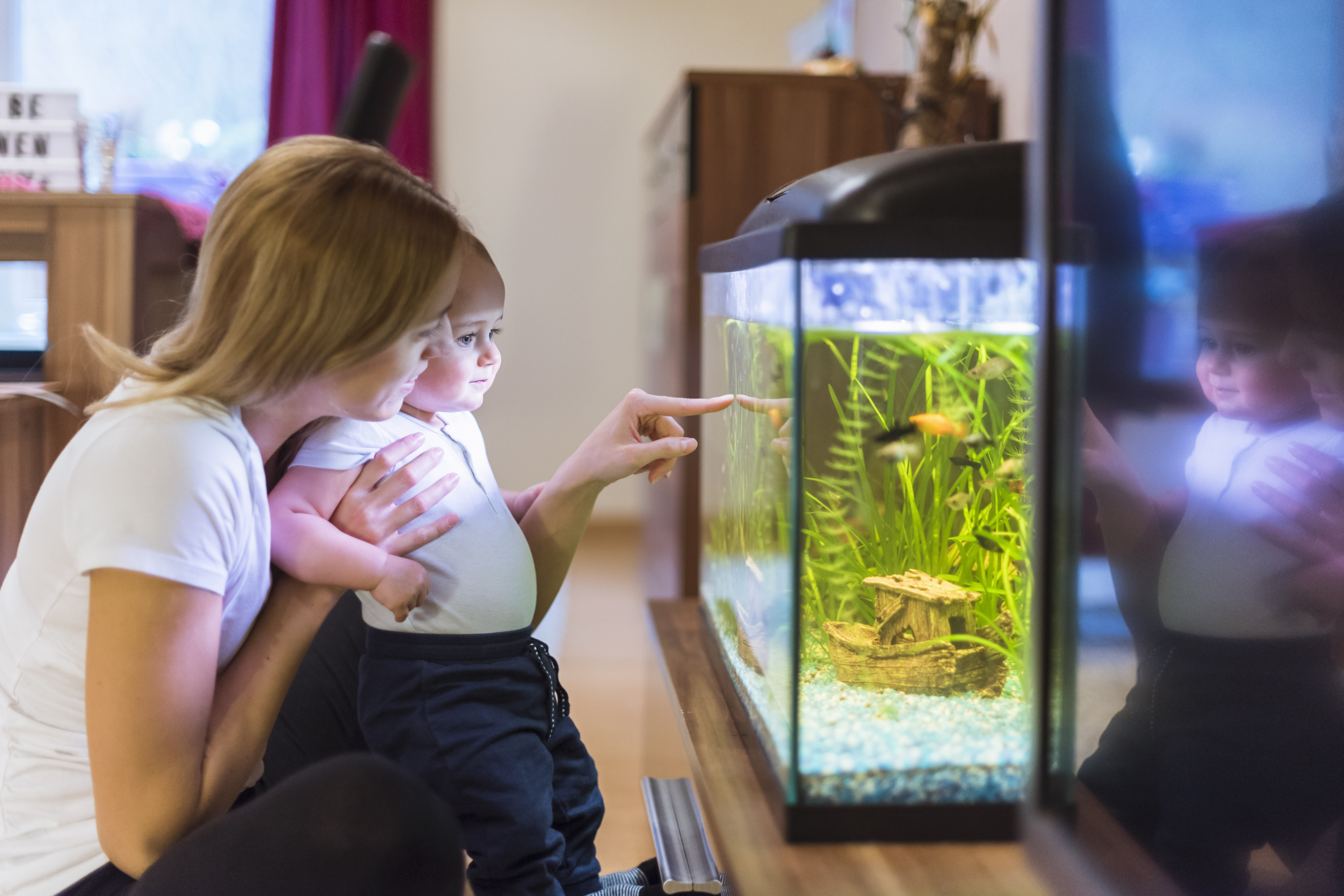 Mom and baby look into fish tank