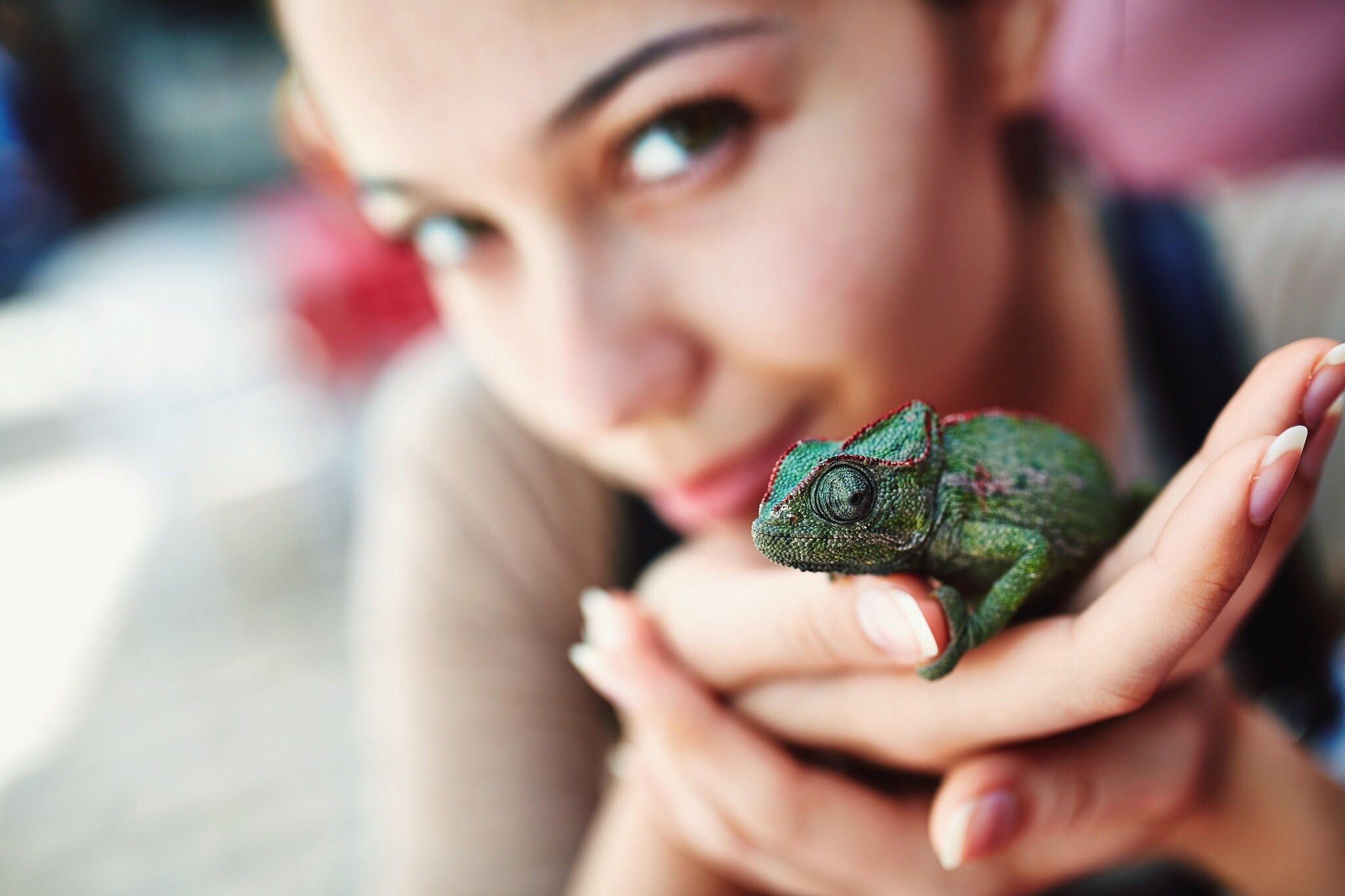 Young woman holding chameleon