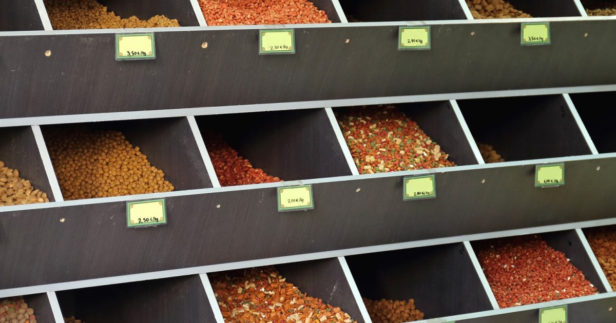 How Do You Store Dry Dog Food