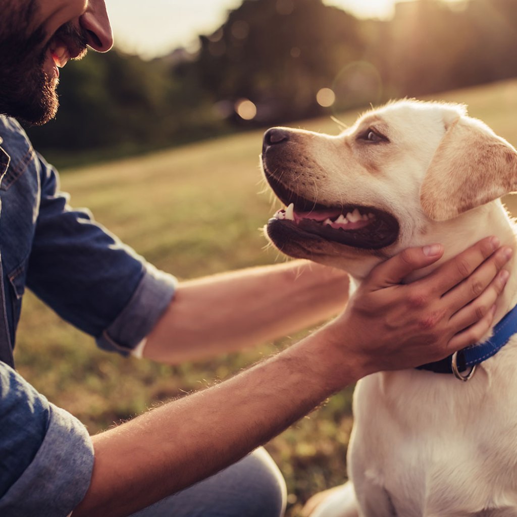 man smiling and rubbing dog's neck outside