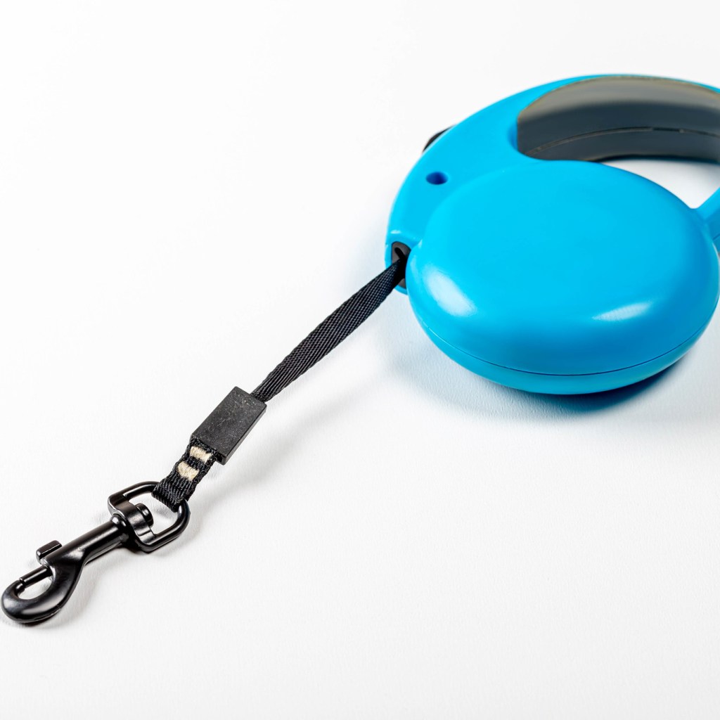 blue retractable dog leash