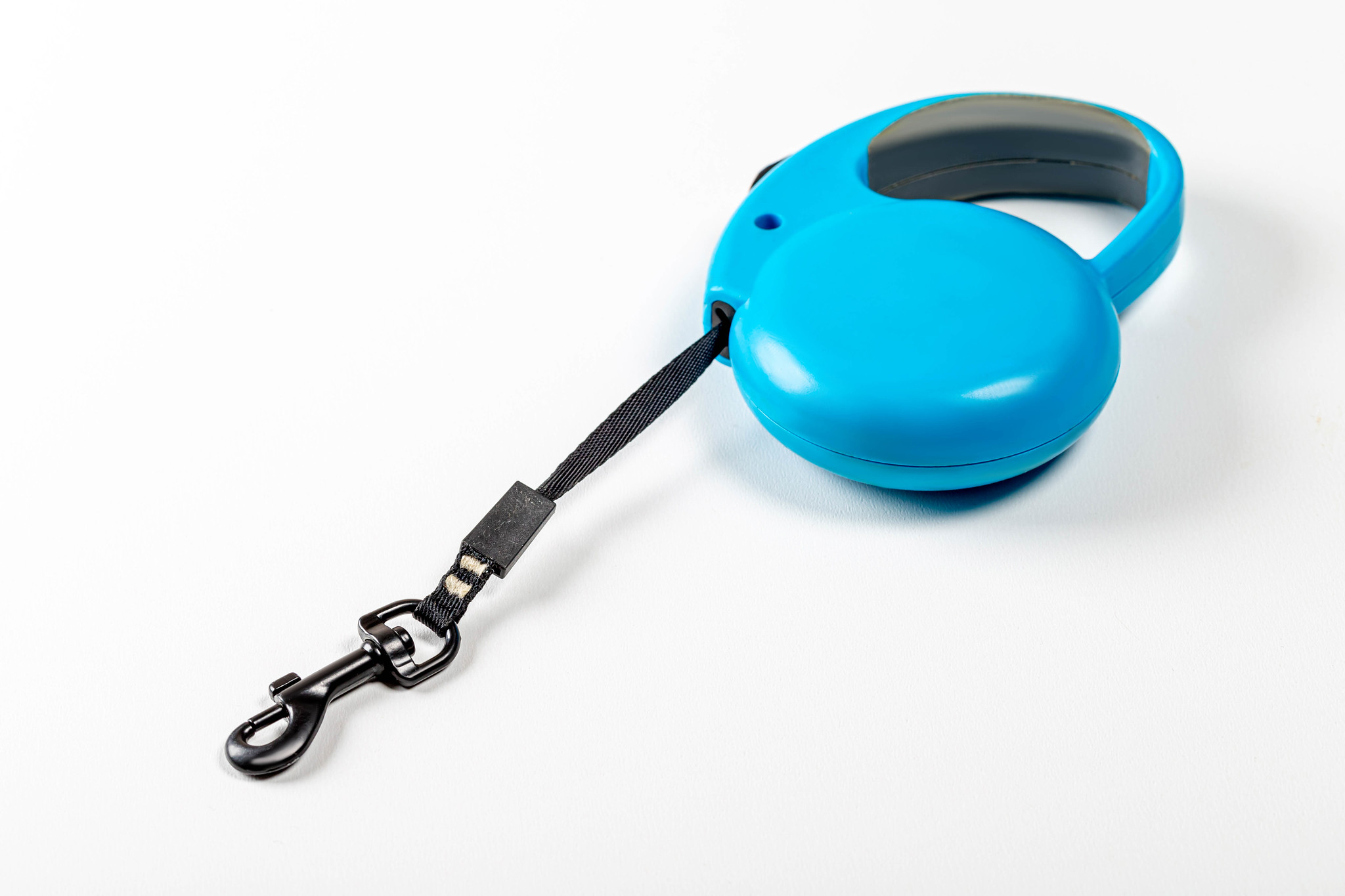 blue retractable dog leash