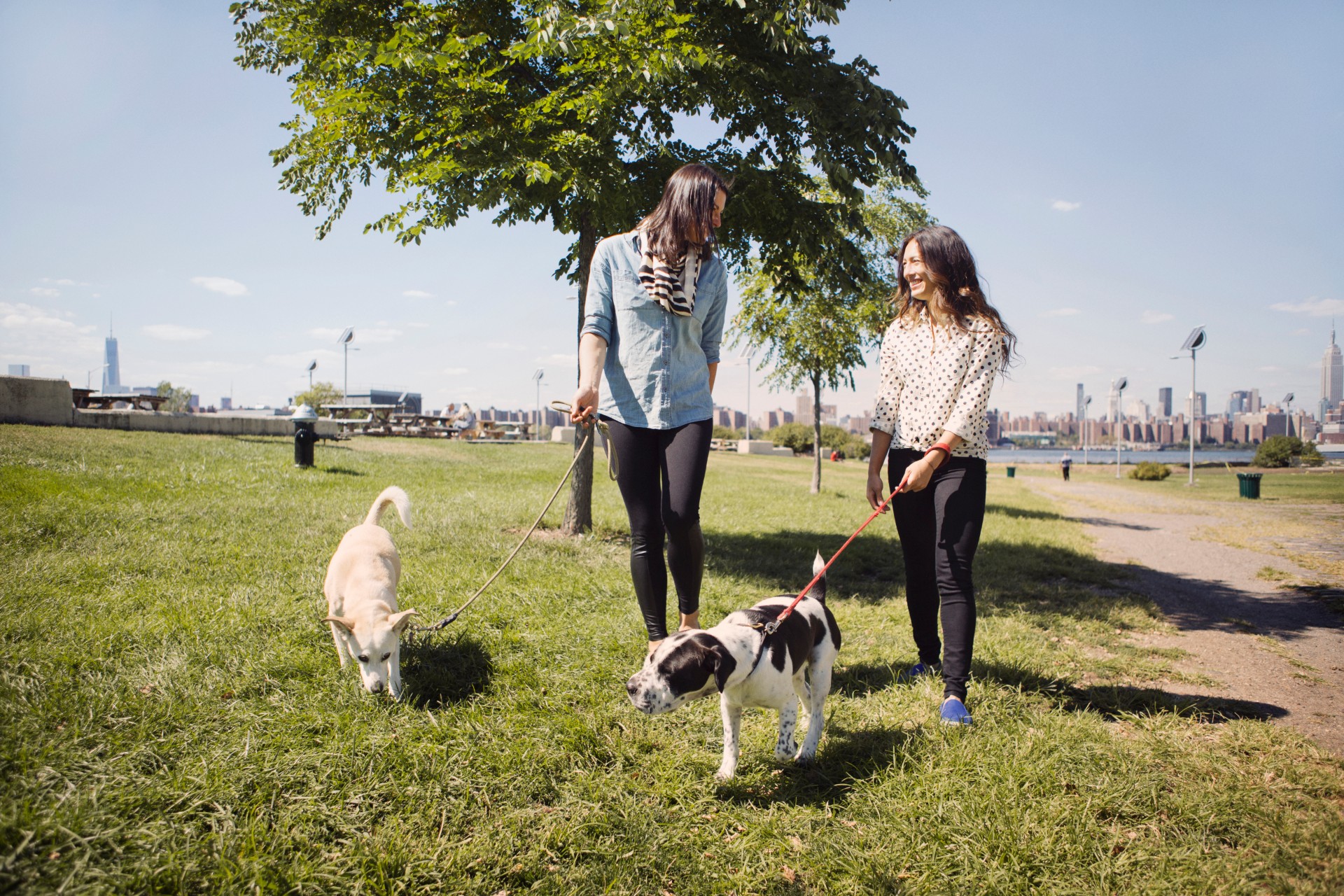 Two women walking dogs in a park