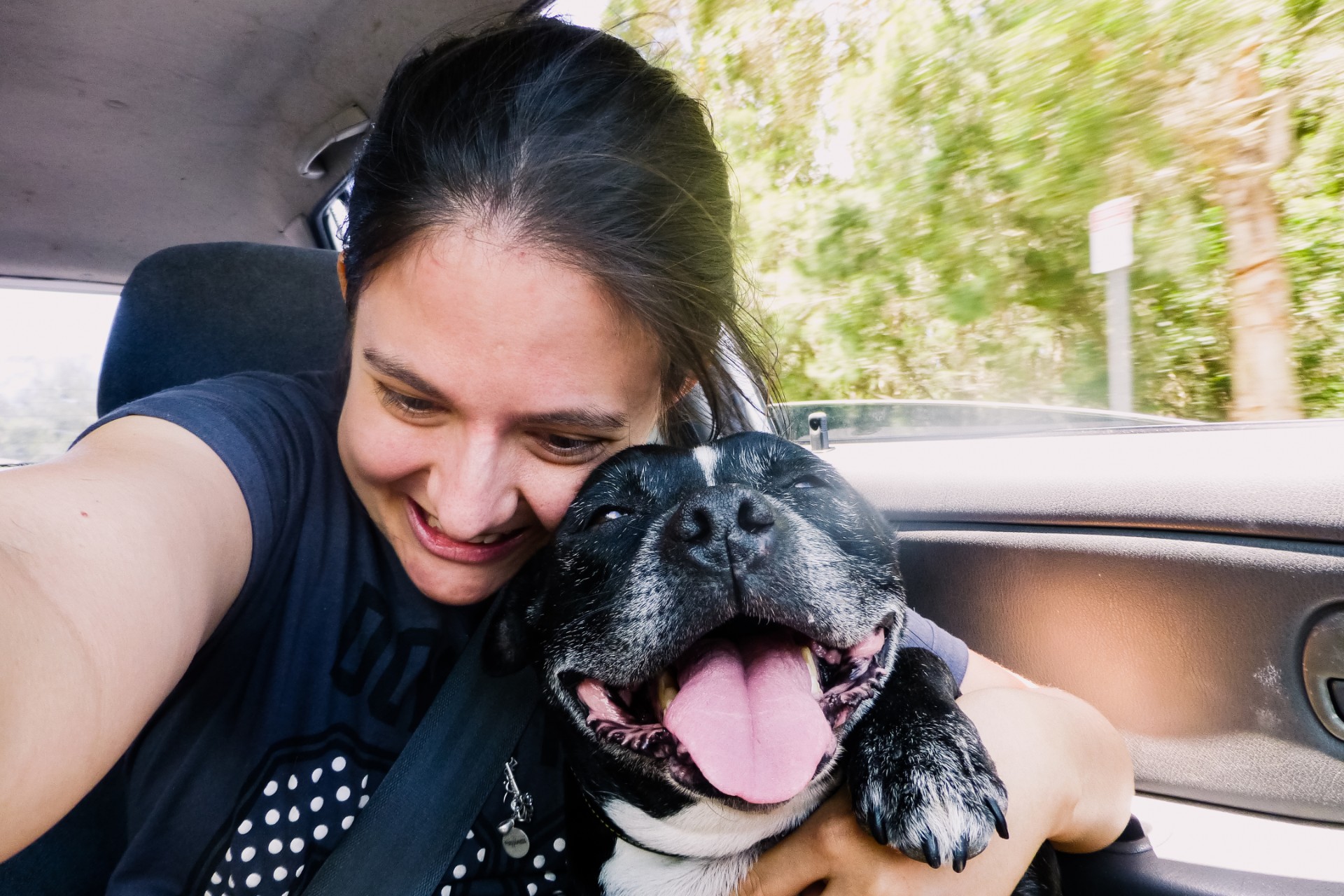 Woman hugging a pit bull in a car