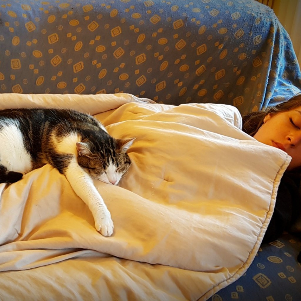 Cat sleeping on top of woman
