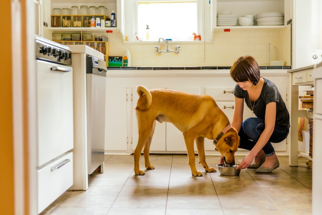 ผู้หญิงกำลังป้อนอาหารสุนัขในครัว