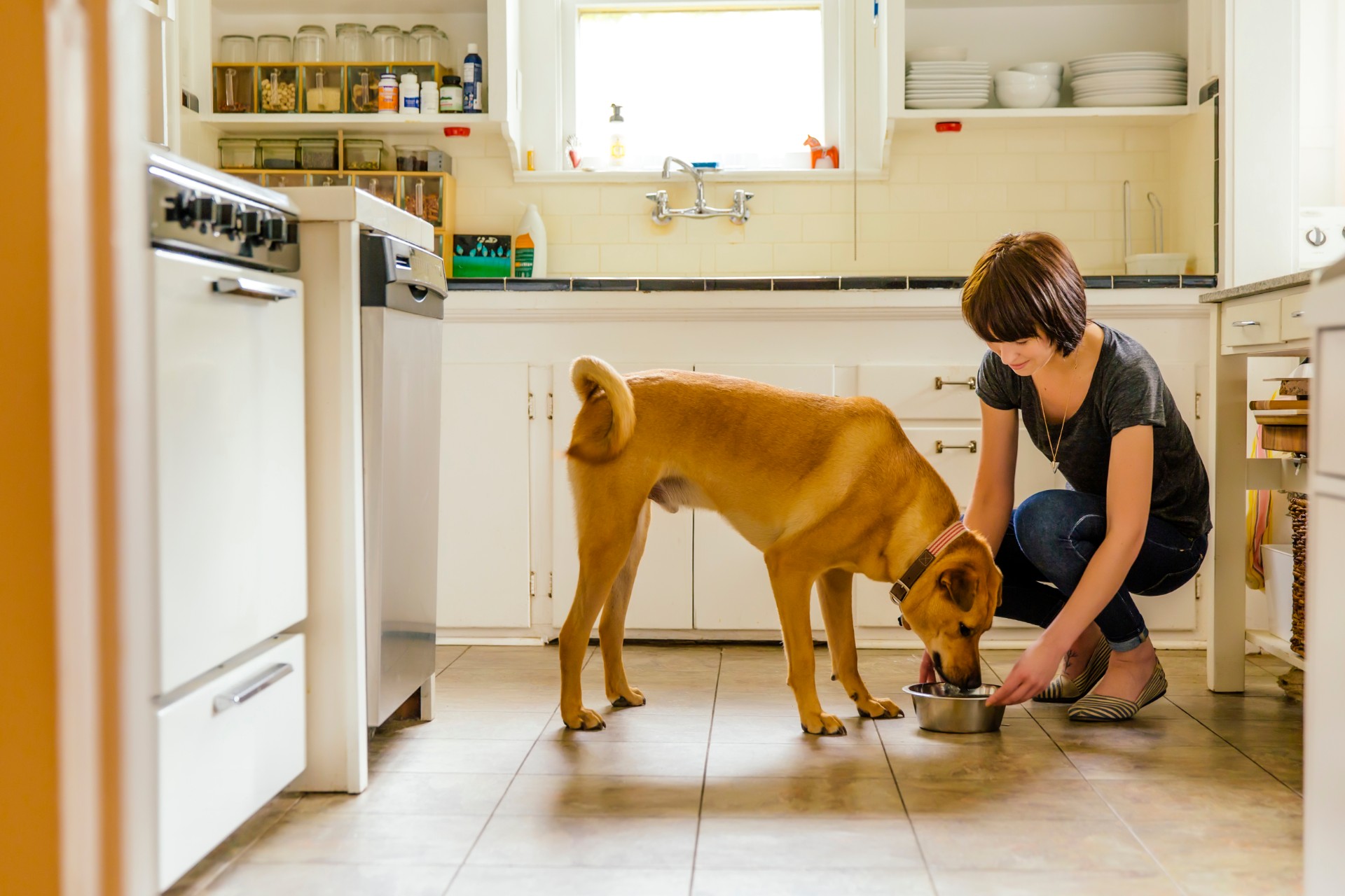 Woman feeding dog in kitchen