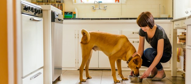 Woman feeding dog in kitchen
