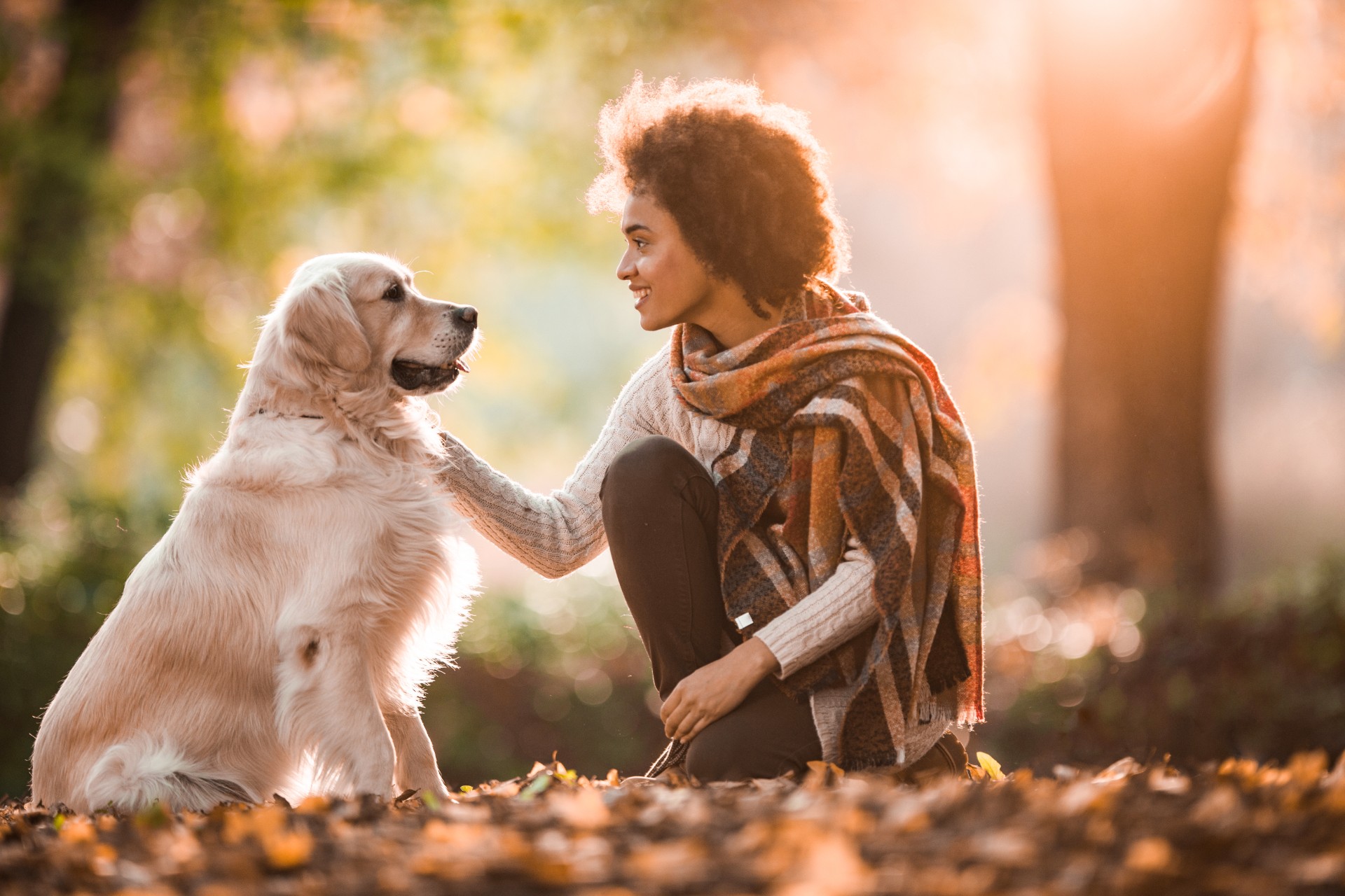 Woman petting golden retriever