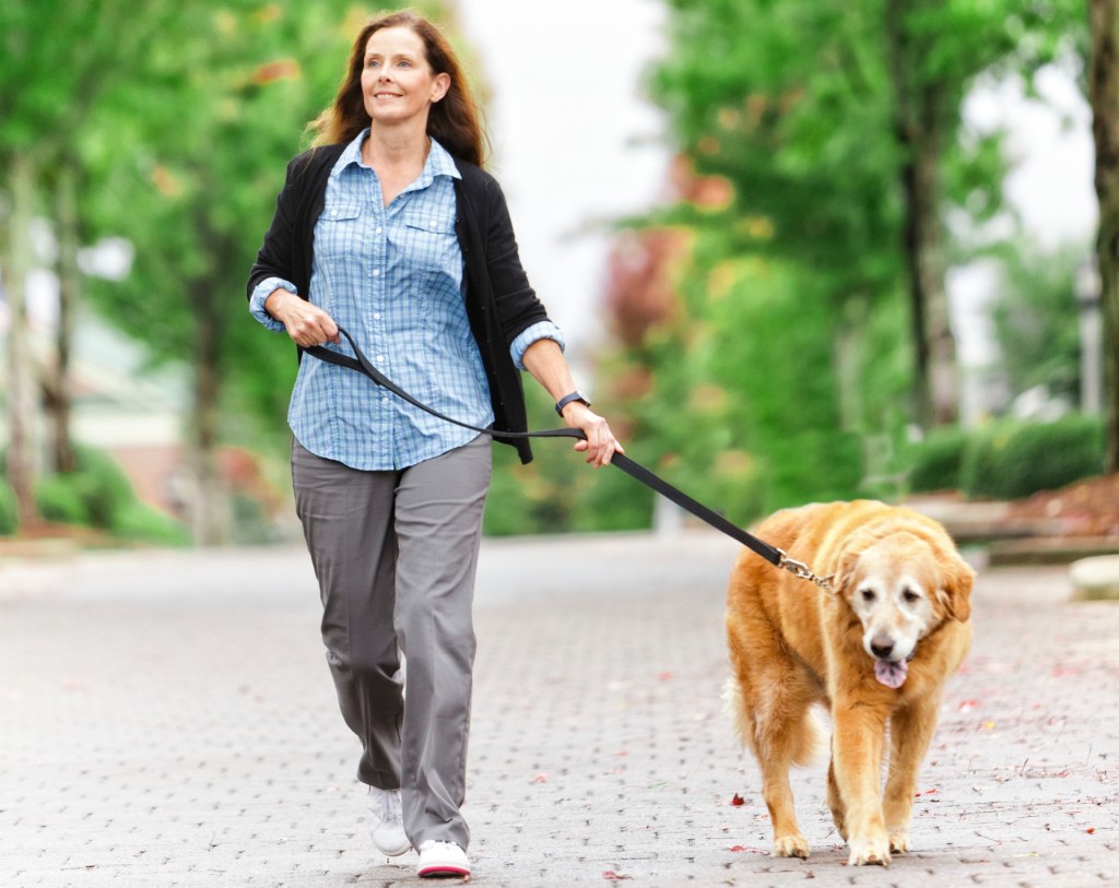 Woman walking a golden retriever