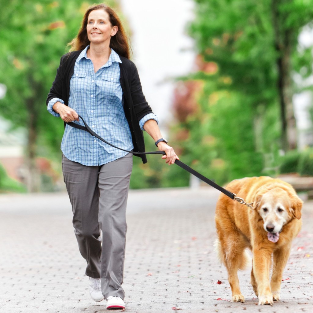 Woman walking a golden retriever