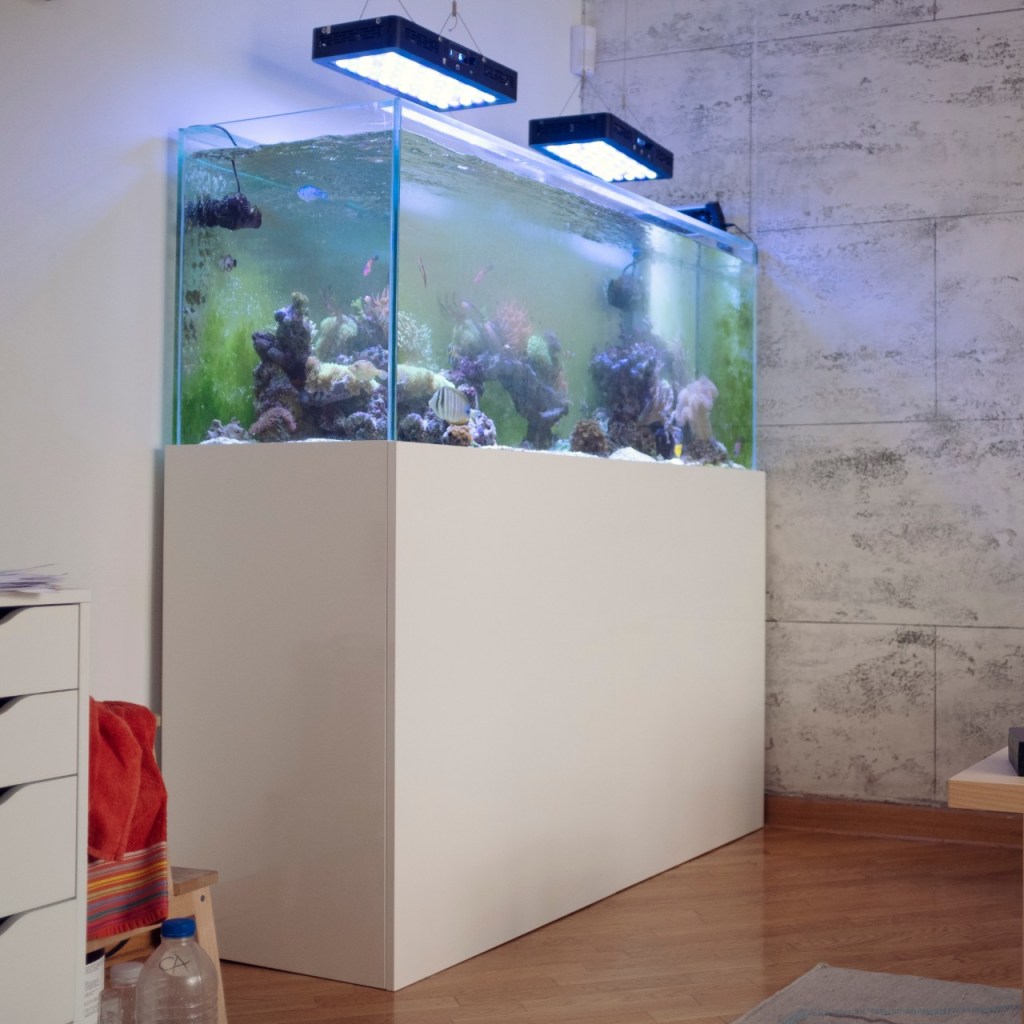 Akvariumas su šviesomis kambaryje