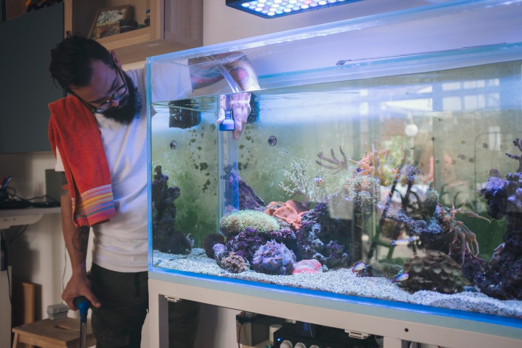 Man working on aquarium