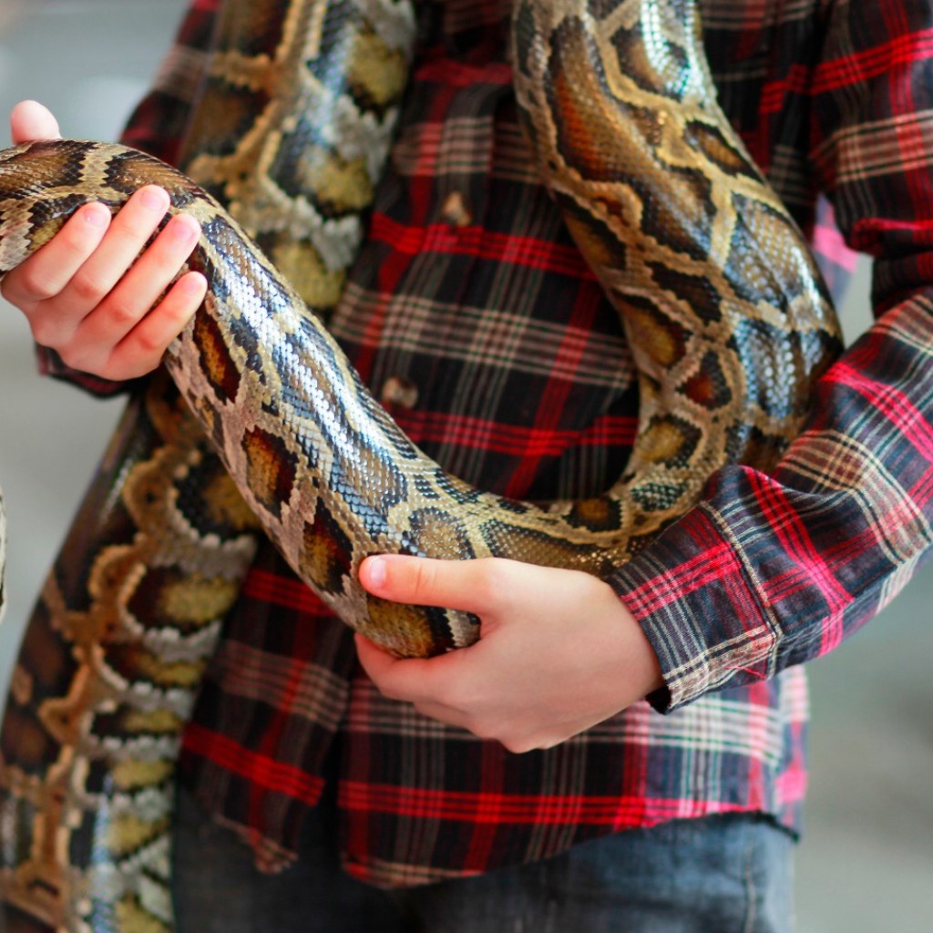 Man holding a pet python