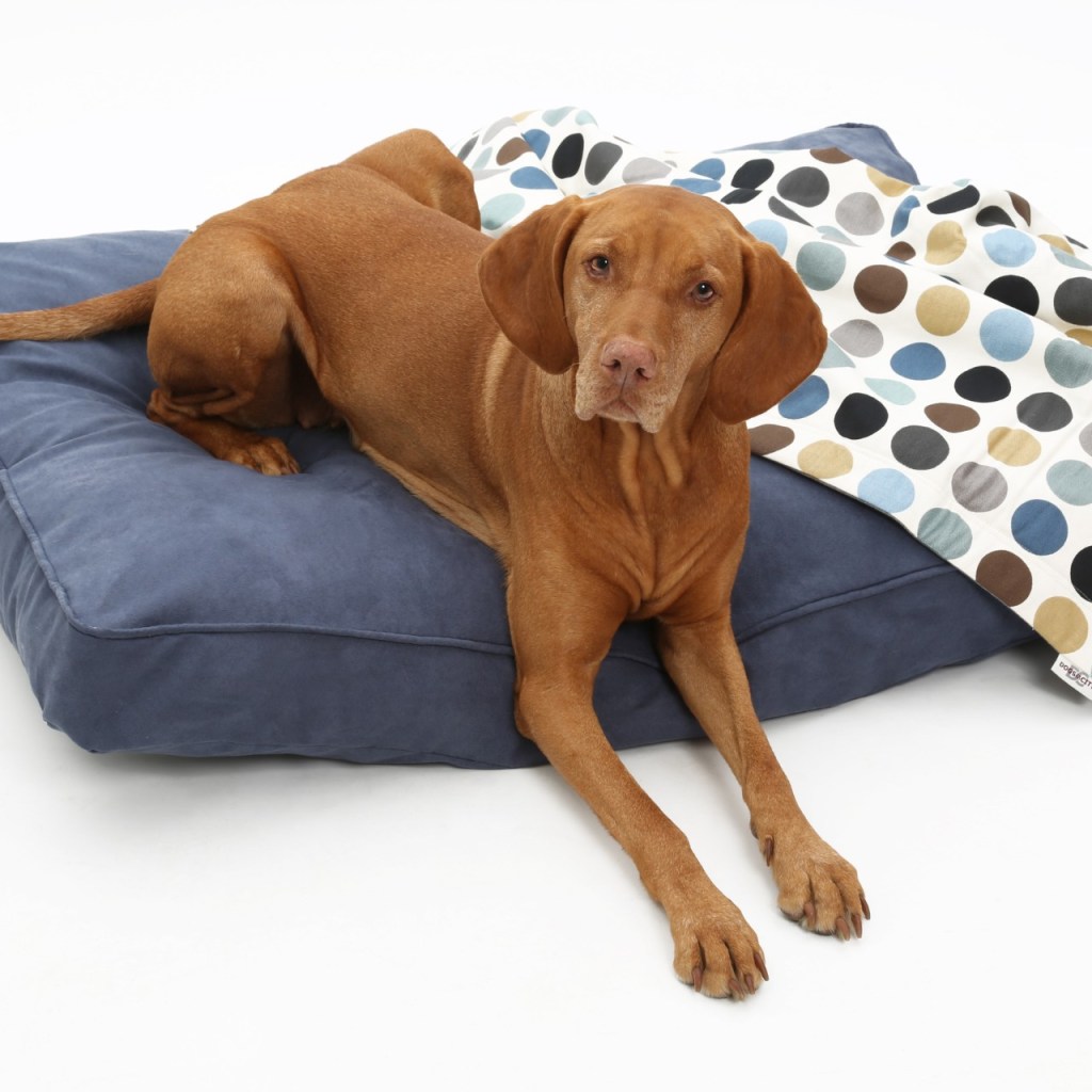 Large dog on its bed