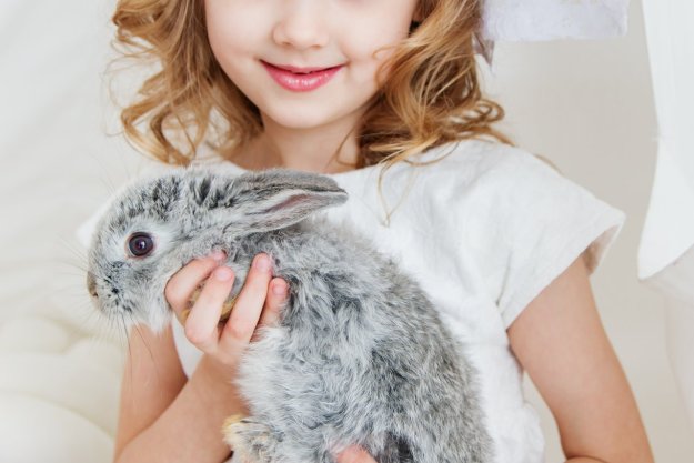 Young girl holding a gray rabbit