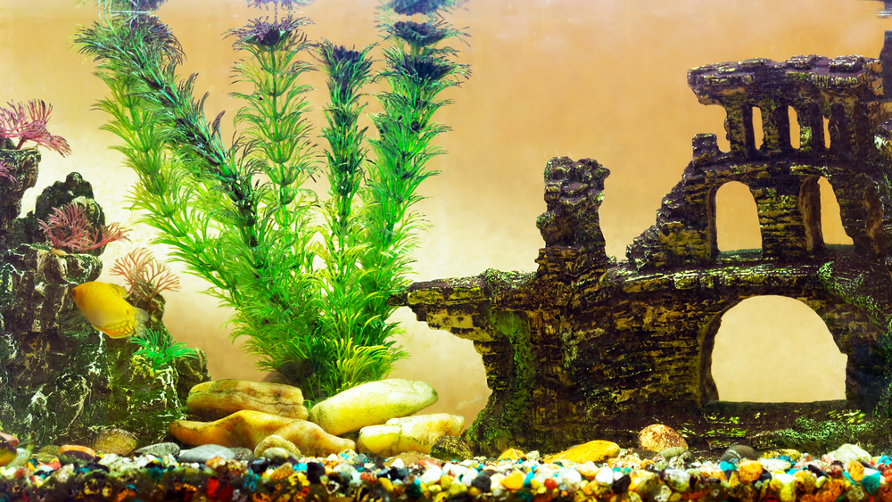 How To Create Fantastic DIY Aquarium Decorations PawTracks