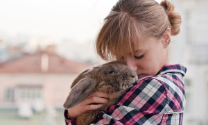 girl in plaid shirt holding rabbit