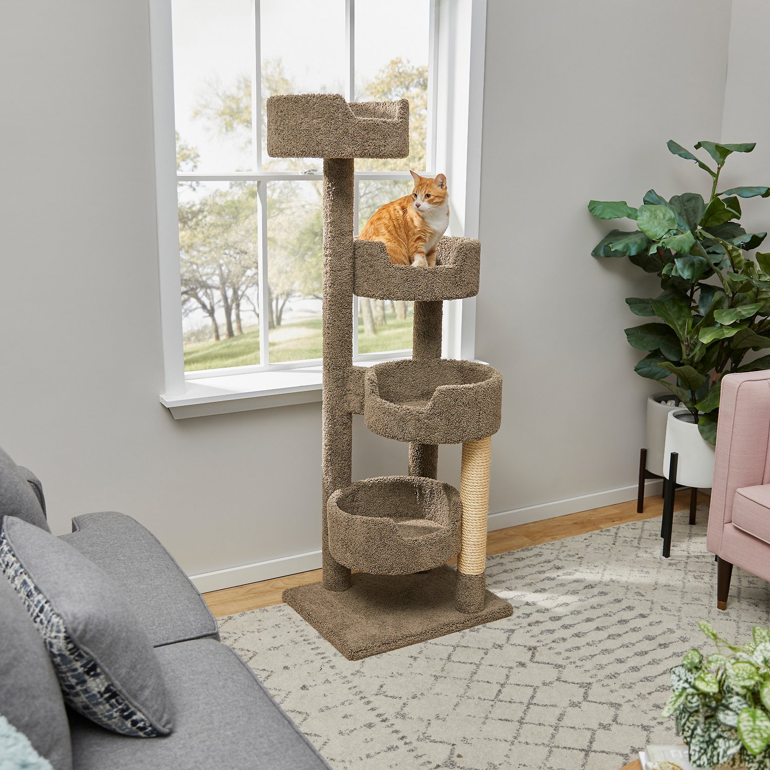 Chewy's cat tree sale is bringing you major savings! PawTracks