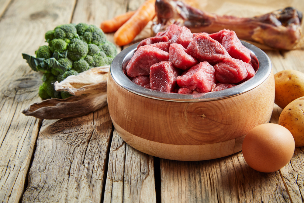 fresh food healthy pet chopped