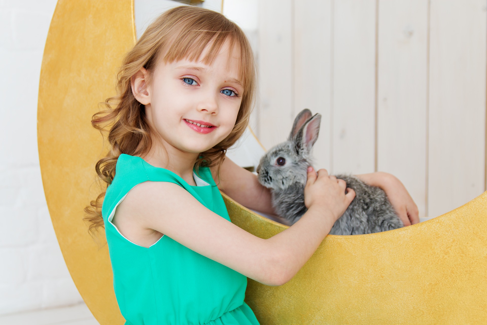 How to Properly Clean Your Pet Rabbit in 4 Steps | PawTracks