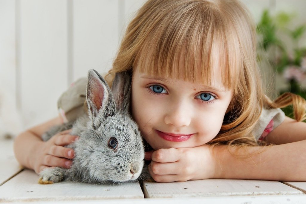 These Are The Best Pets For Kids Under 10 | PawTracks
