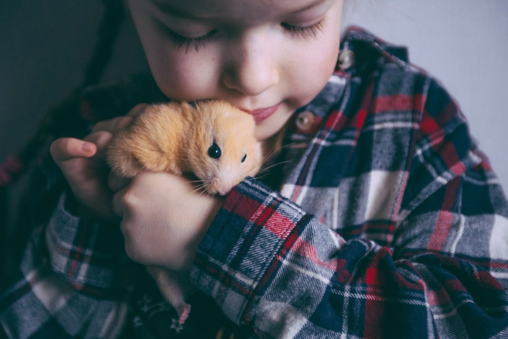 Girl holding and petting a hamster